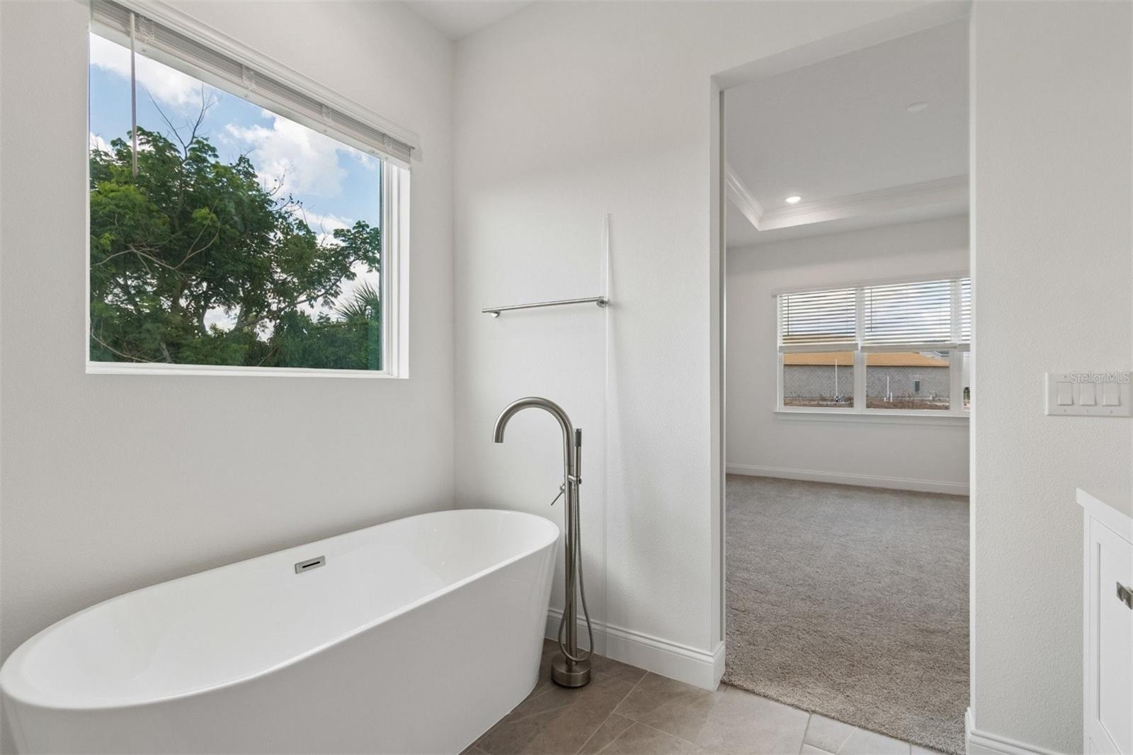 12390 CLEAR SAPPHIRE #260, WINTER GARDEN, FL, 34787