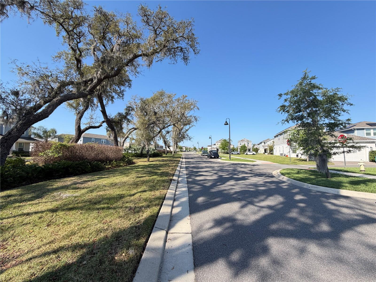 17063 QUICKSILVER AVE, WINTER GARDEN, FL, 34787