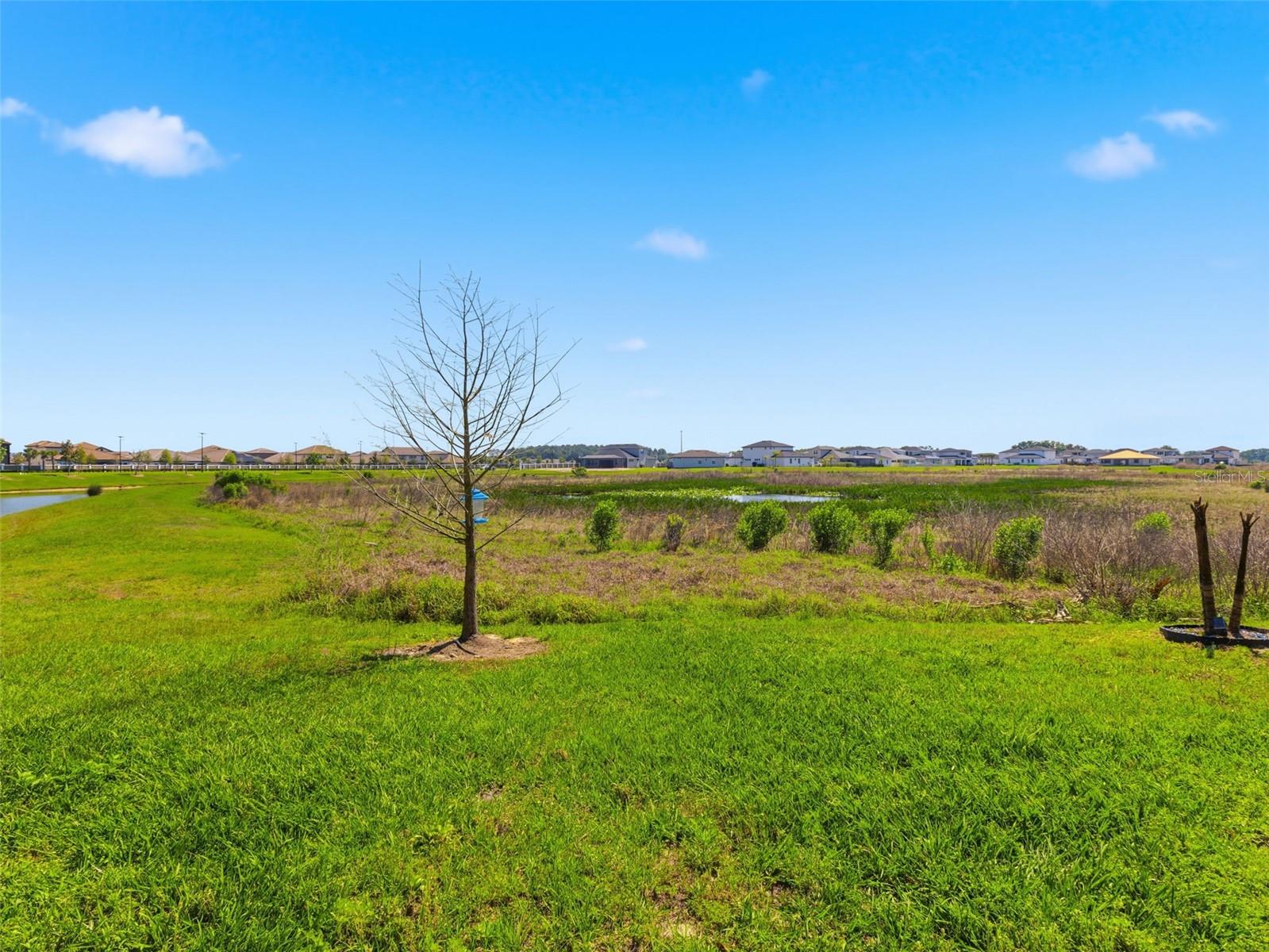 32156 POND APPLE BND, SAN ANTONIO, FL, 33576