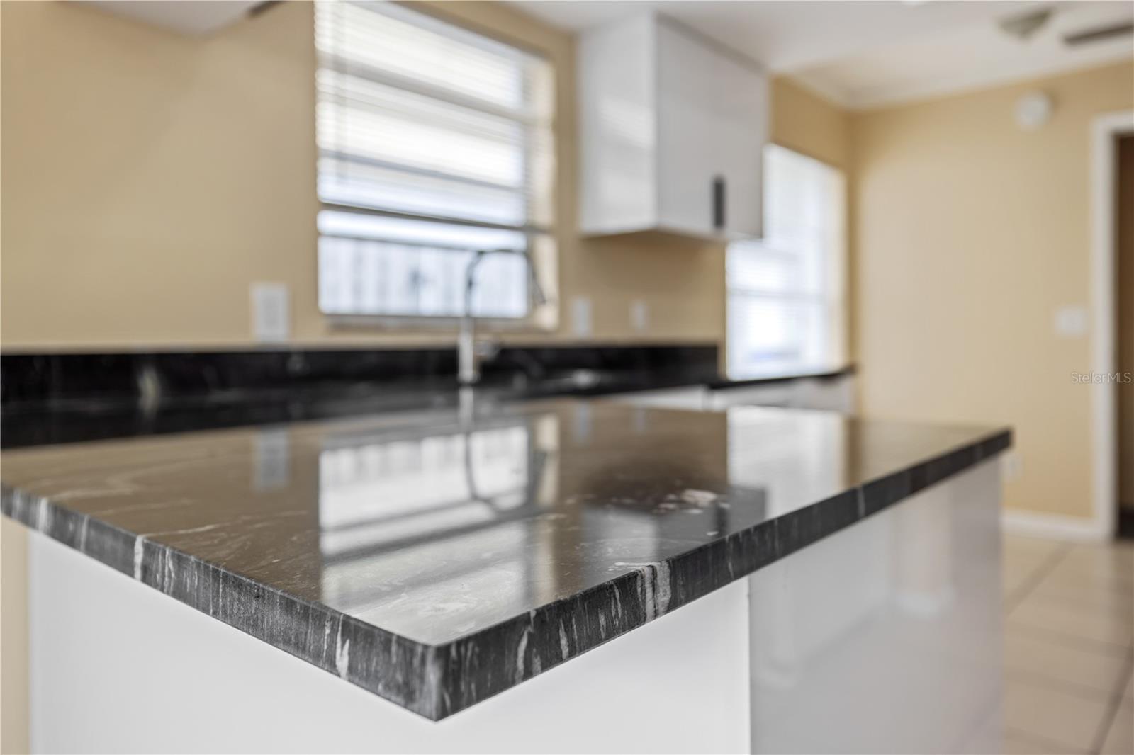7906 GEORGE WASHINGTON LN, TAMPA, FL, 33637