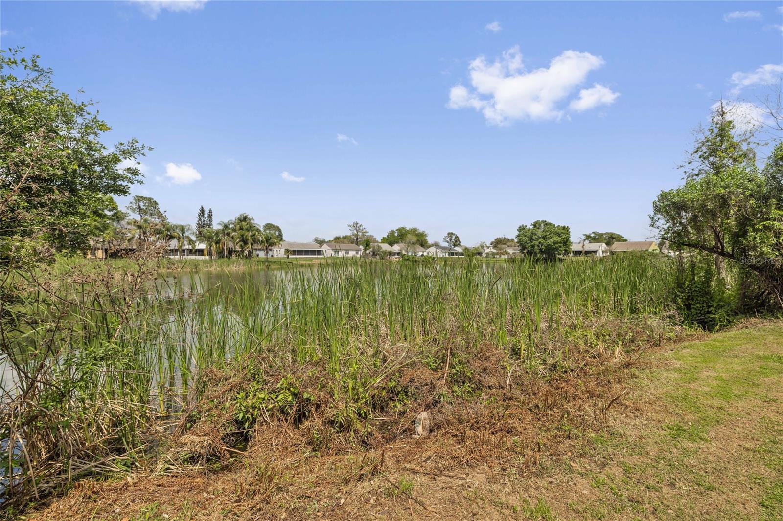 7906 GEORGE WASHINGTON LN, TAMPA, FL, 33637