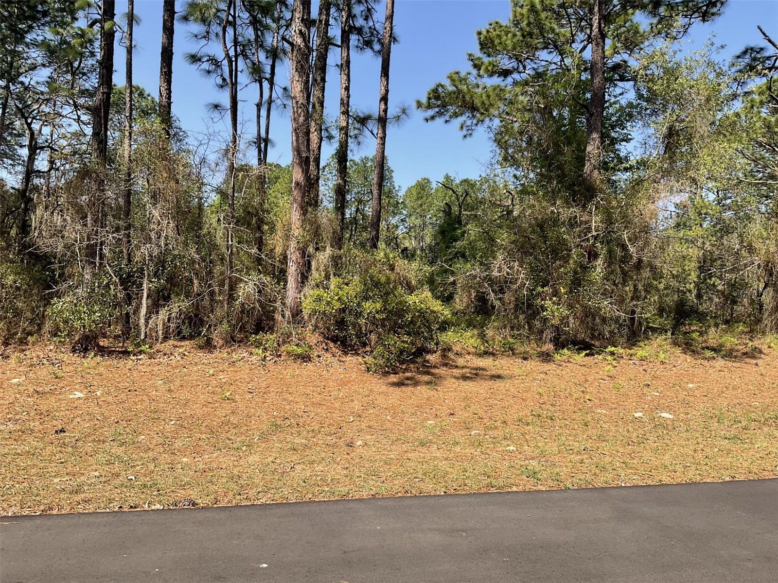 UNDETERMINED, DUNNELLON, FL, 34432