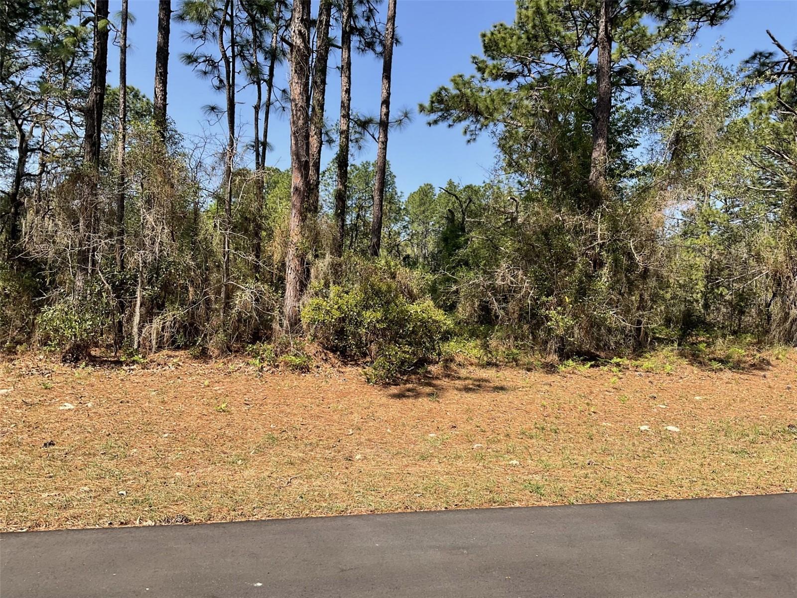 UNDETERMINED, DUNNELLON, FL, 34432