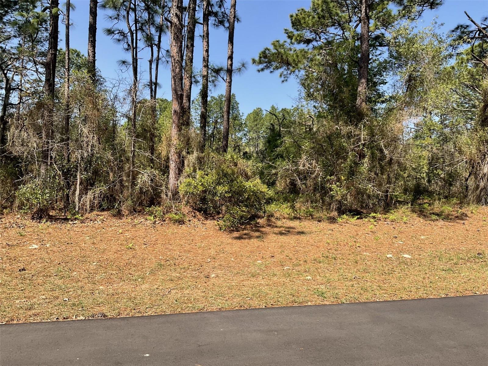 UNDETERMINED, DUNNELLON, FL, 34432