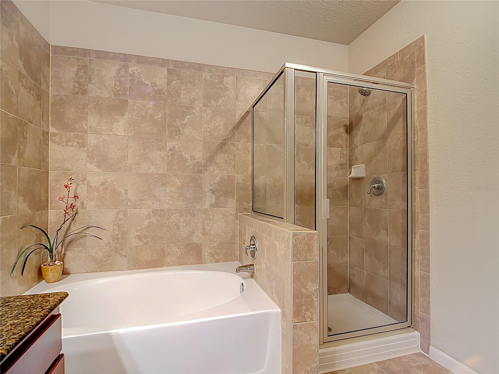 910 CHARO PKWY #311, DAVENPORT, FL, 33897