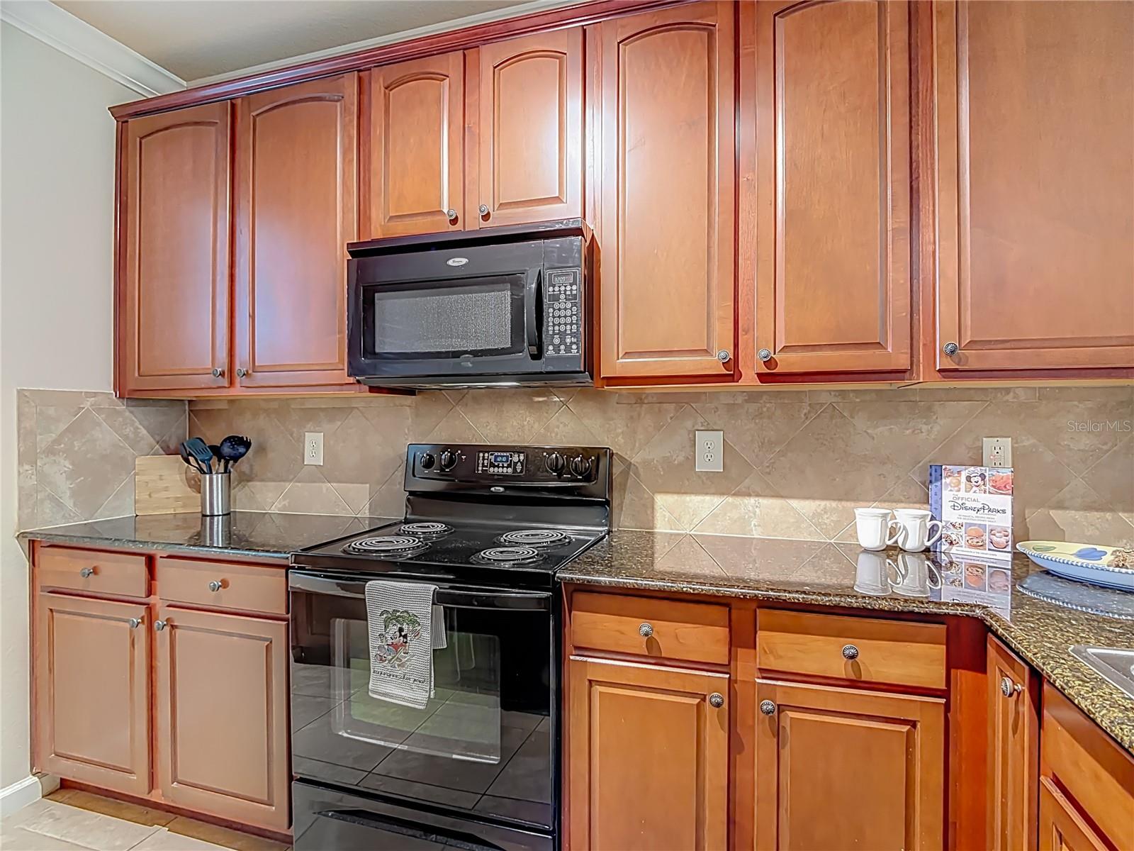 910 CHARO PKWY #311, DAVENPORT, FL, 33897