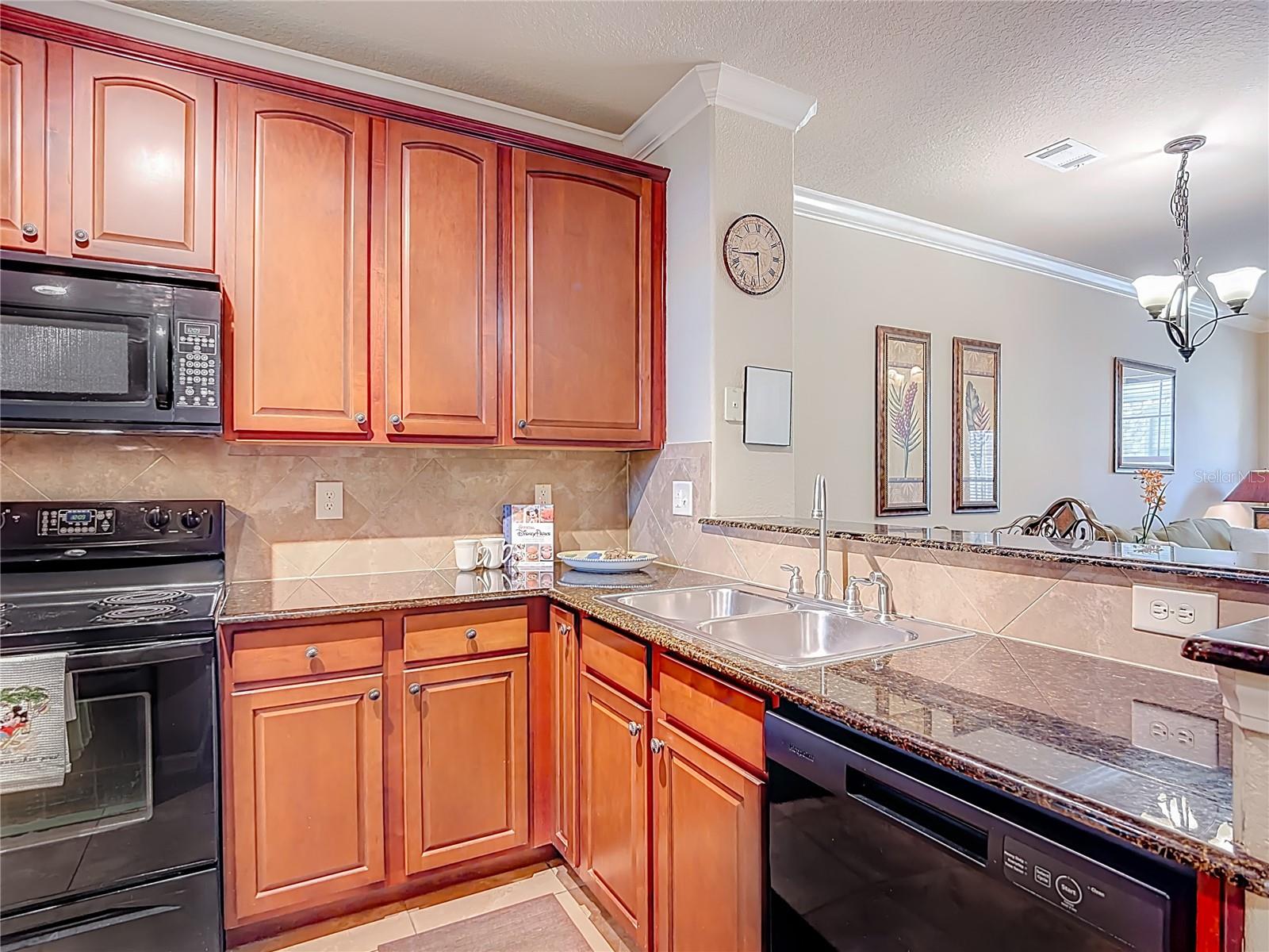 910 CHARO PKWY #311, DAVENPORT, FL, 33897