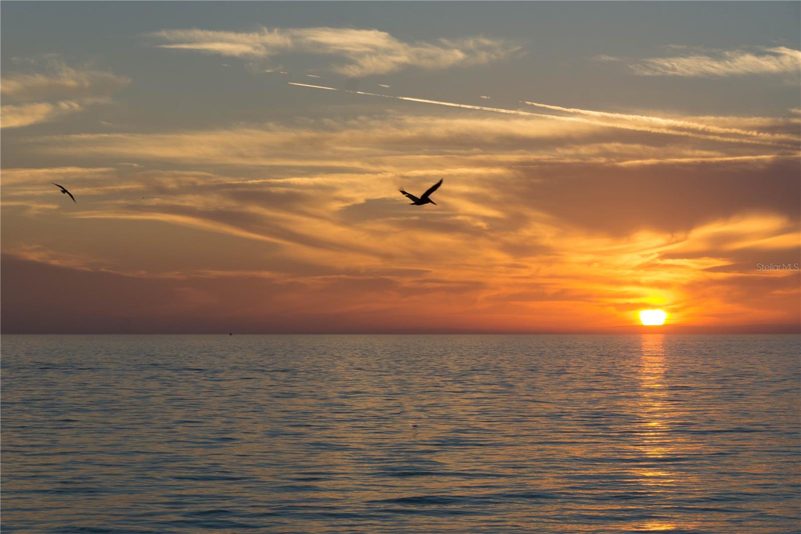 5579 MODENA PL, SARASOTA, FL, 34238