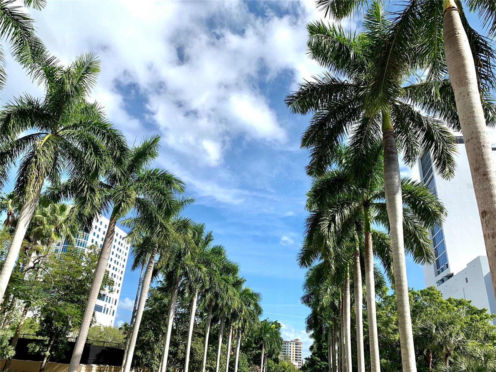 5579 MODENA PL, SARASOTA, FL, 34238