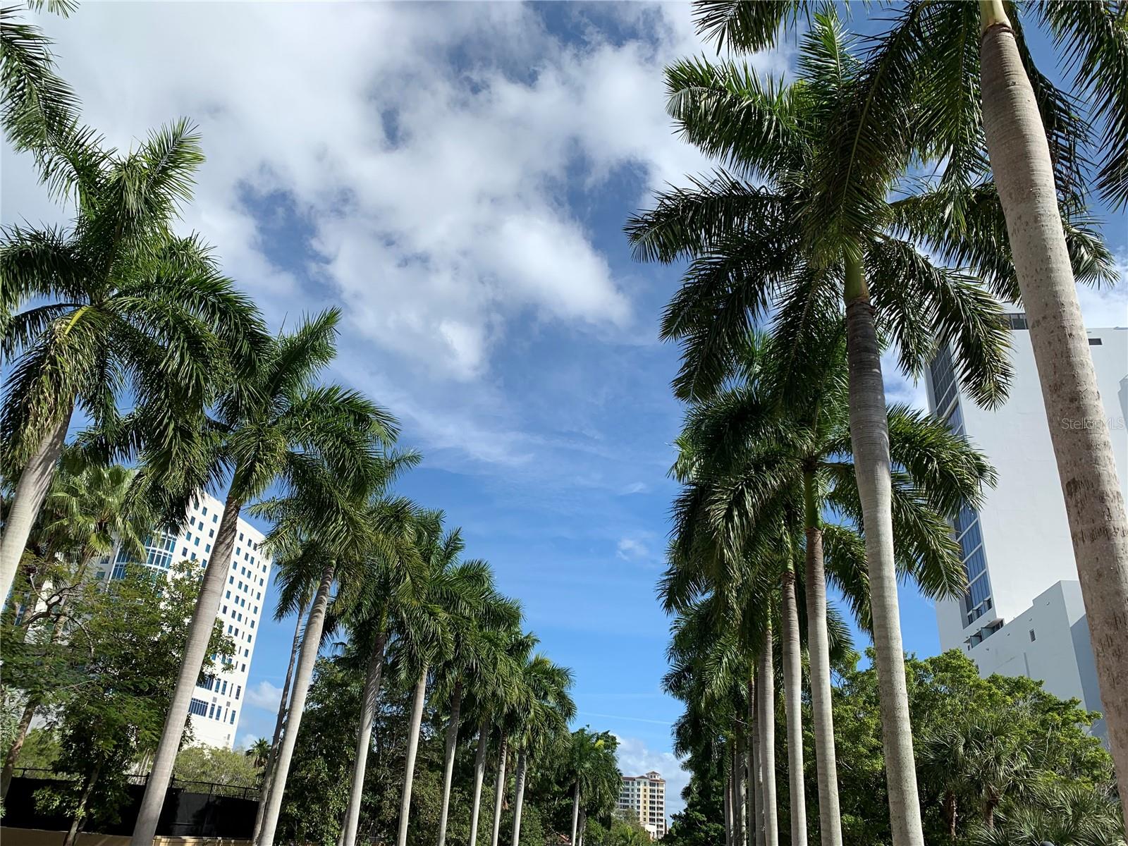 5579 MODENA PL, SARASOTA, FL, 34238