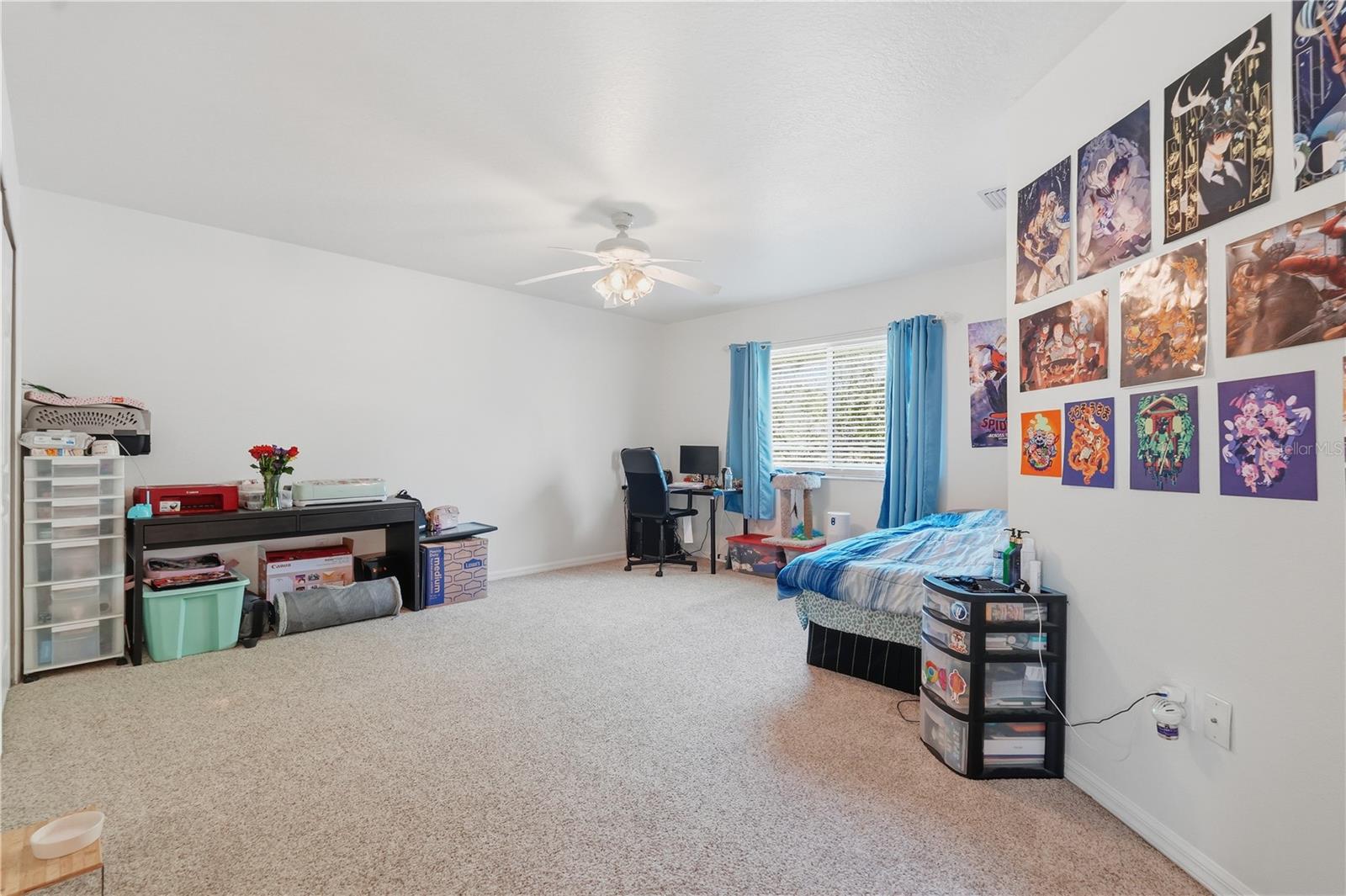 1734 MAPLELEAF BLVD, OLDSMAR, FL, 34677