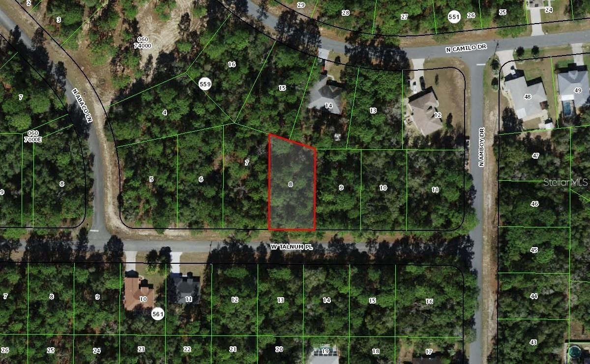 3231 W TALINUM PL, CITRUS SPRINGS, FL, 34433
