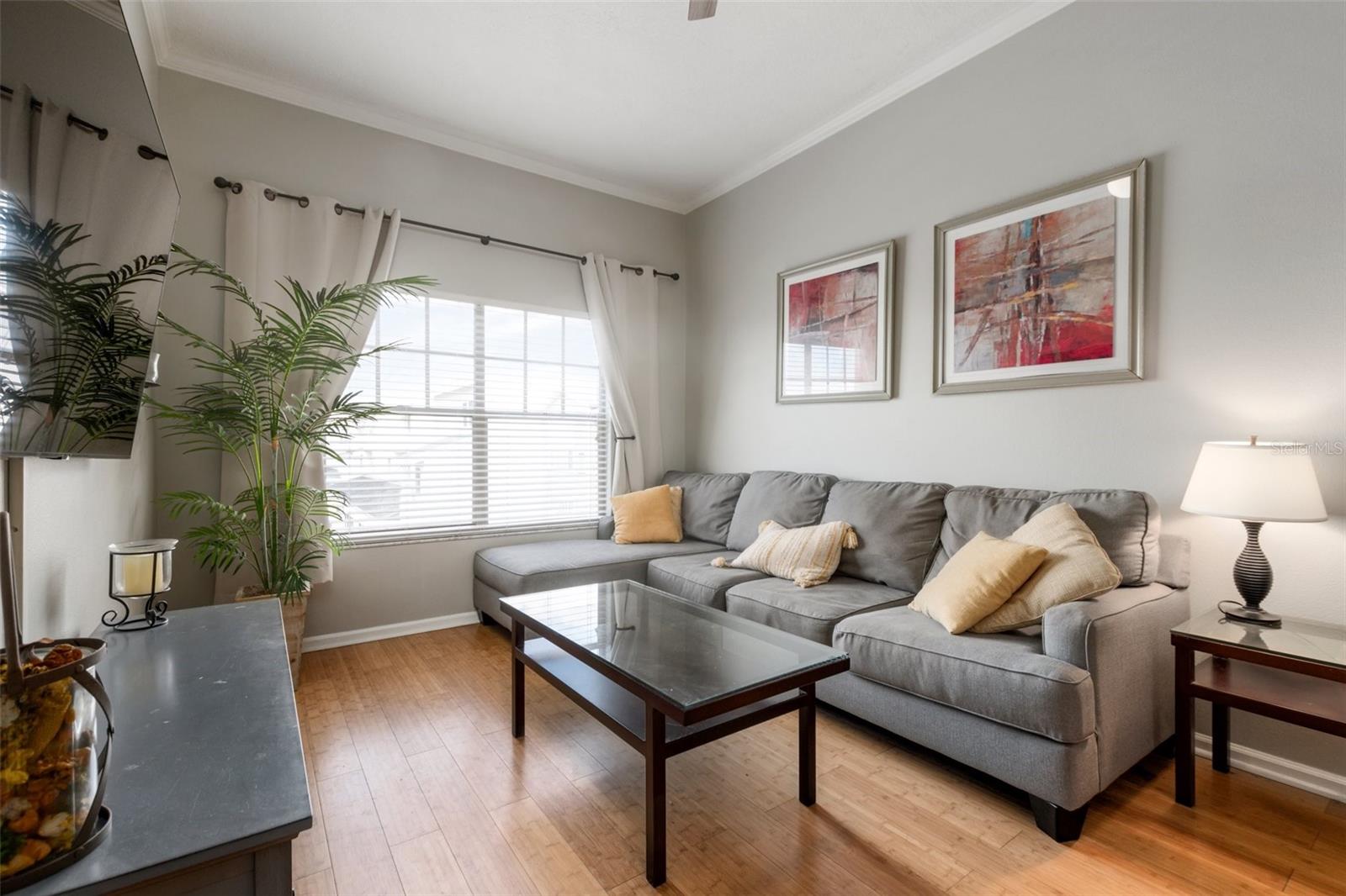800 S DAKOTA AVE #435, TAMPA, FL, 33606