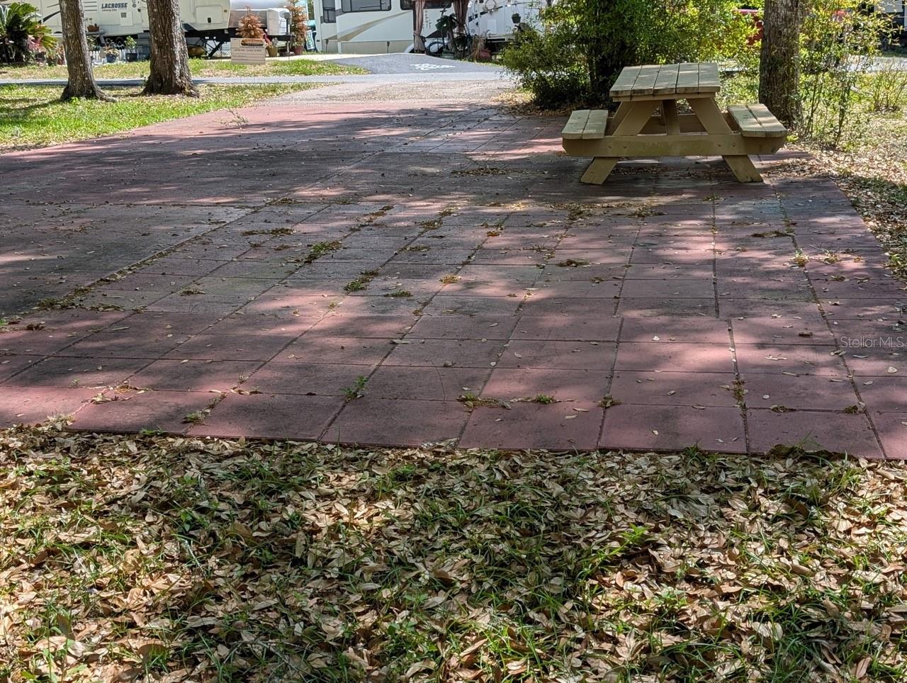 25215 NE 142ND ST, SALT SPRINGS, FL, 32134