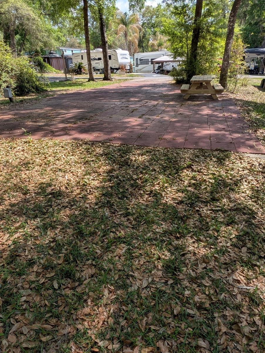 25215 NE 142ND ST, SALT SPRINGS, FL, 32134