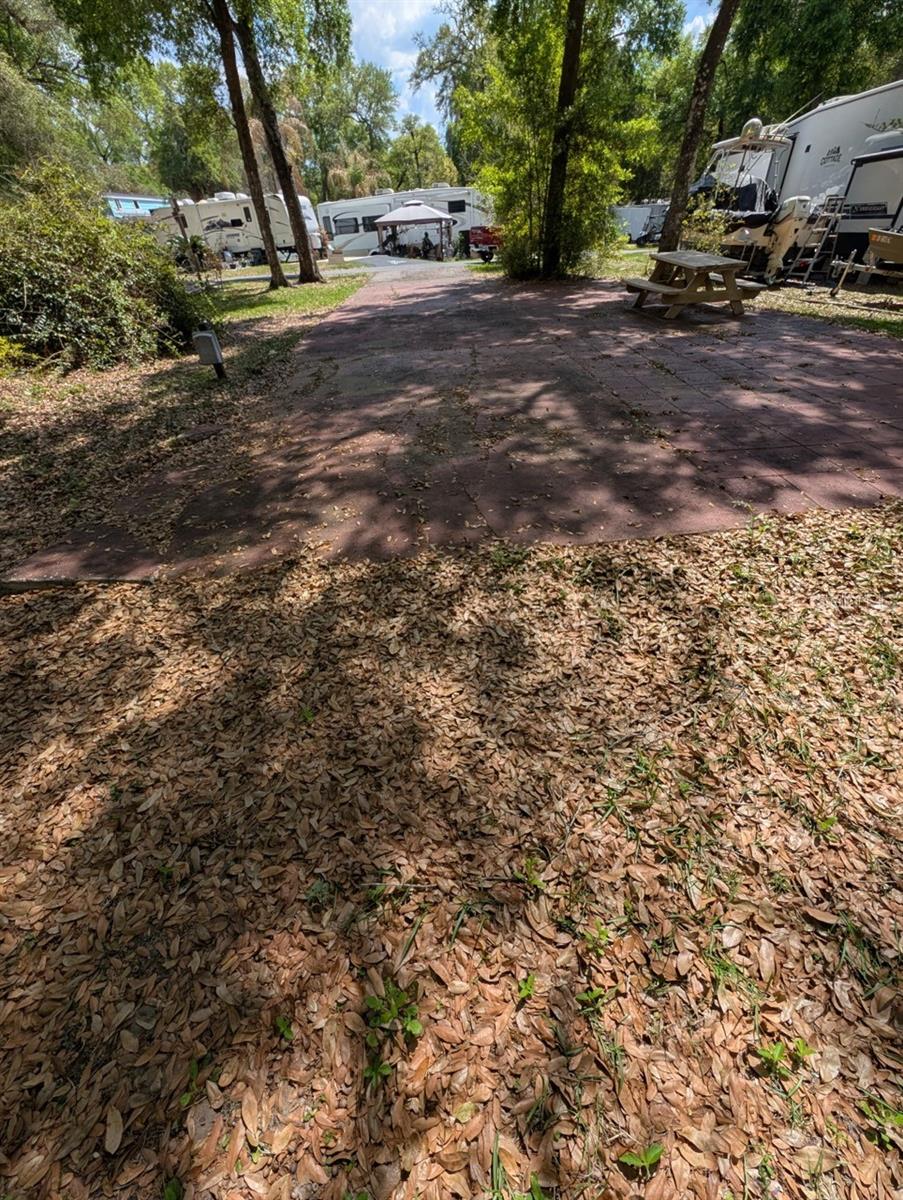 25215 NE 142ND ST, SALT SPRINGS, FL, 32134