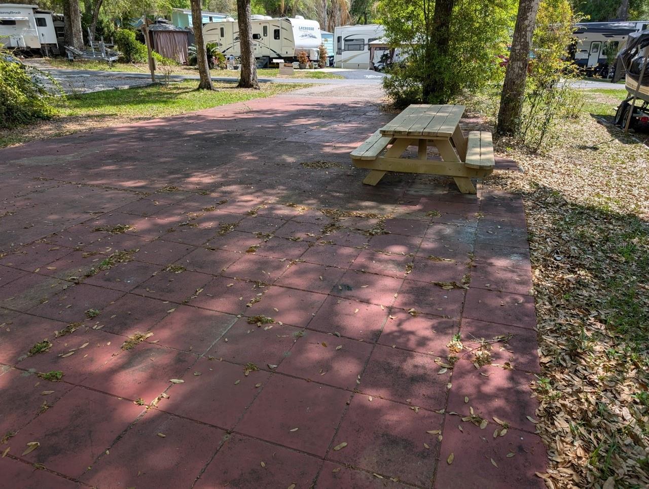 25215 NE 142ND ST, SALT SPRINGS, FL, 32134