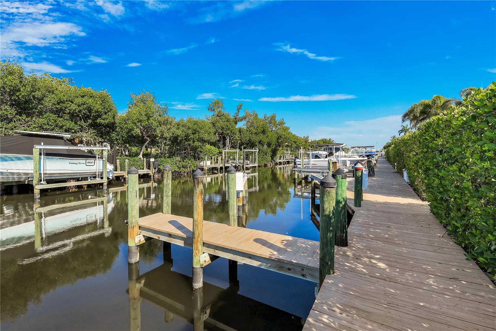 15930 CATALPA COVE DR, FORT MYERS, FL, 33908