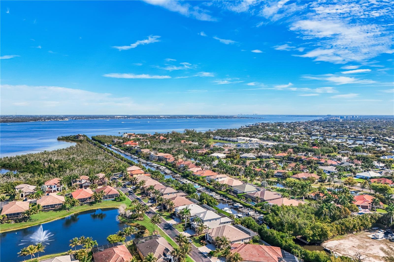 15930 CATALPA COVE DR, FORT MYERS, FL, 33908