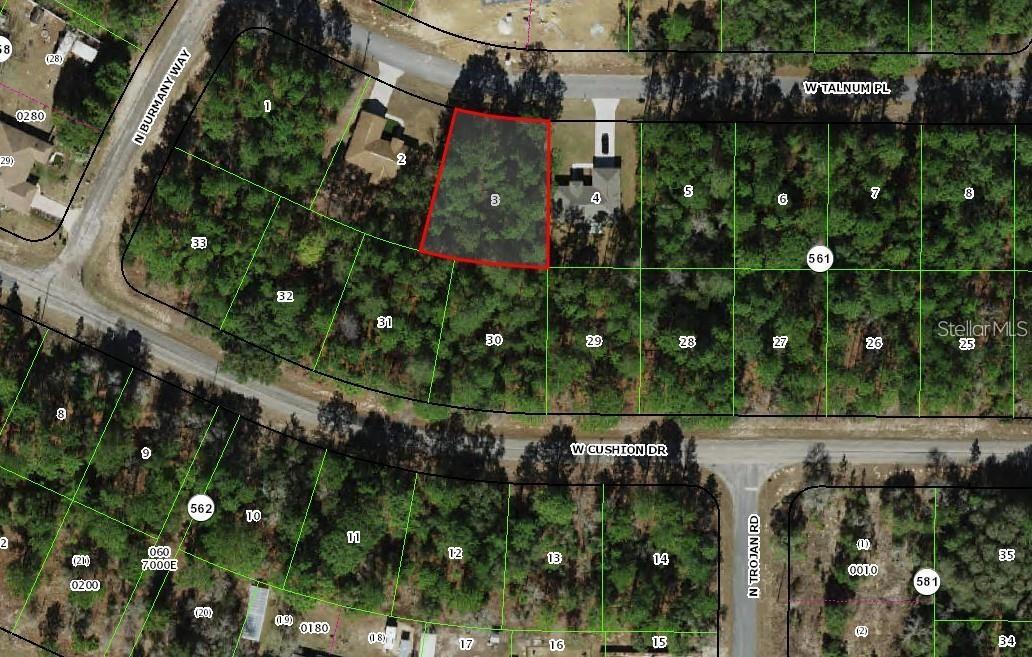 3386 W TALINUM PL, CITRUS SPRINGS, FL, 34433