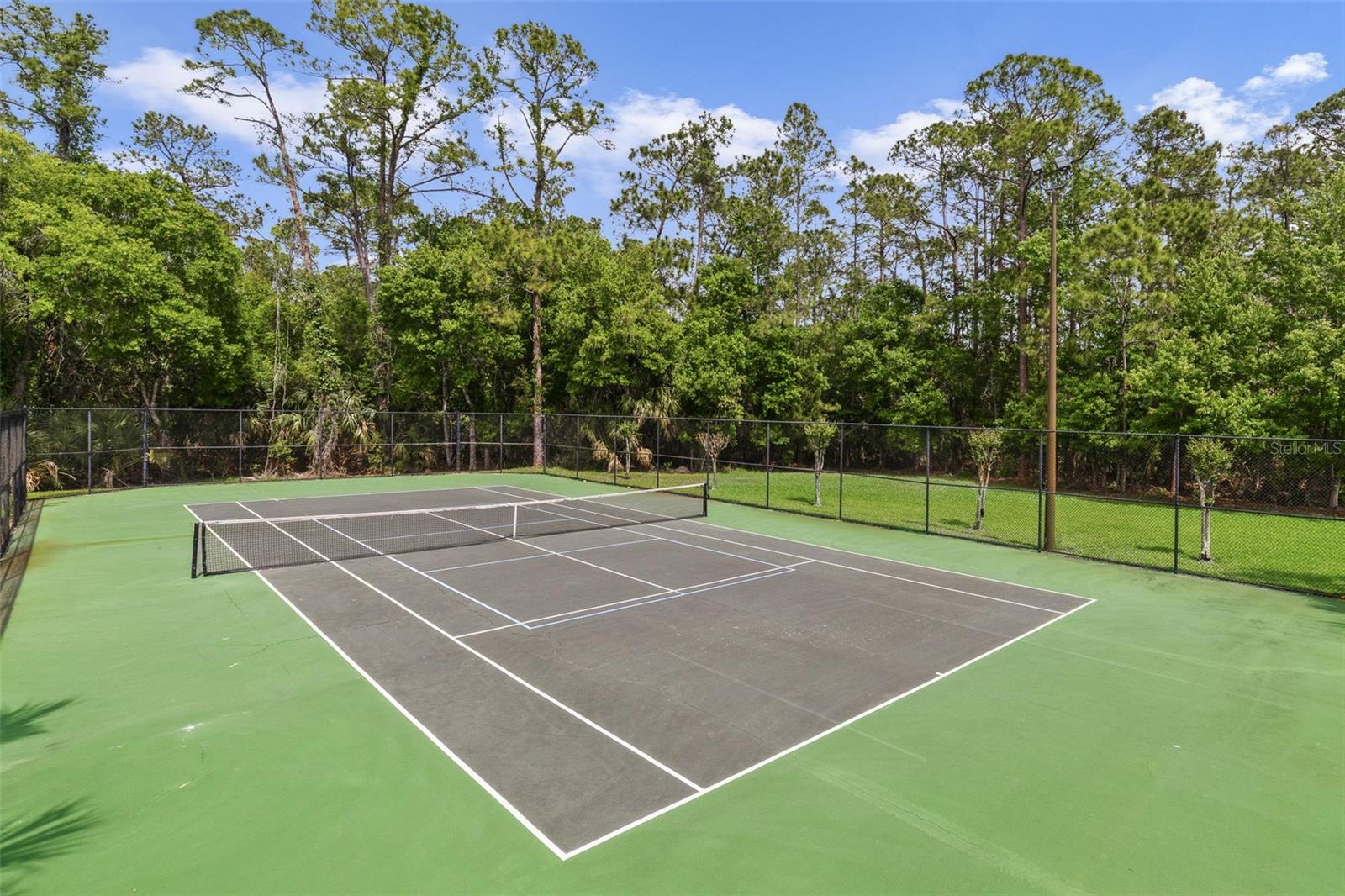 13850 RIVERPATH GROVE DR, ORLANDO, FL, 32826