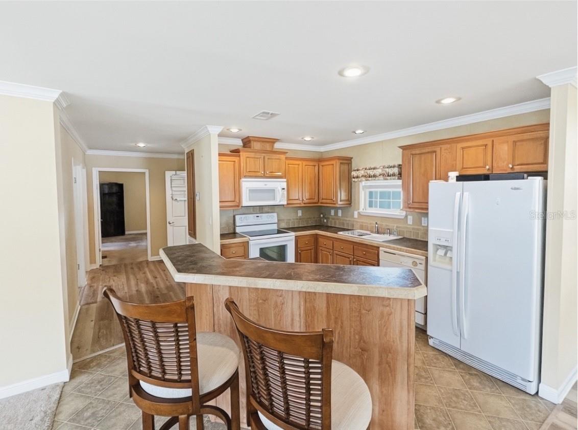 17 SEMINOLE PATH, WILDWOOD, FL, 34785
