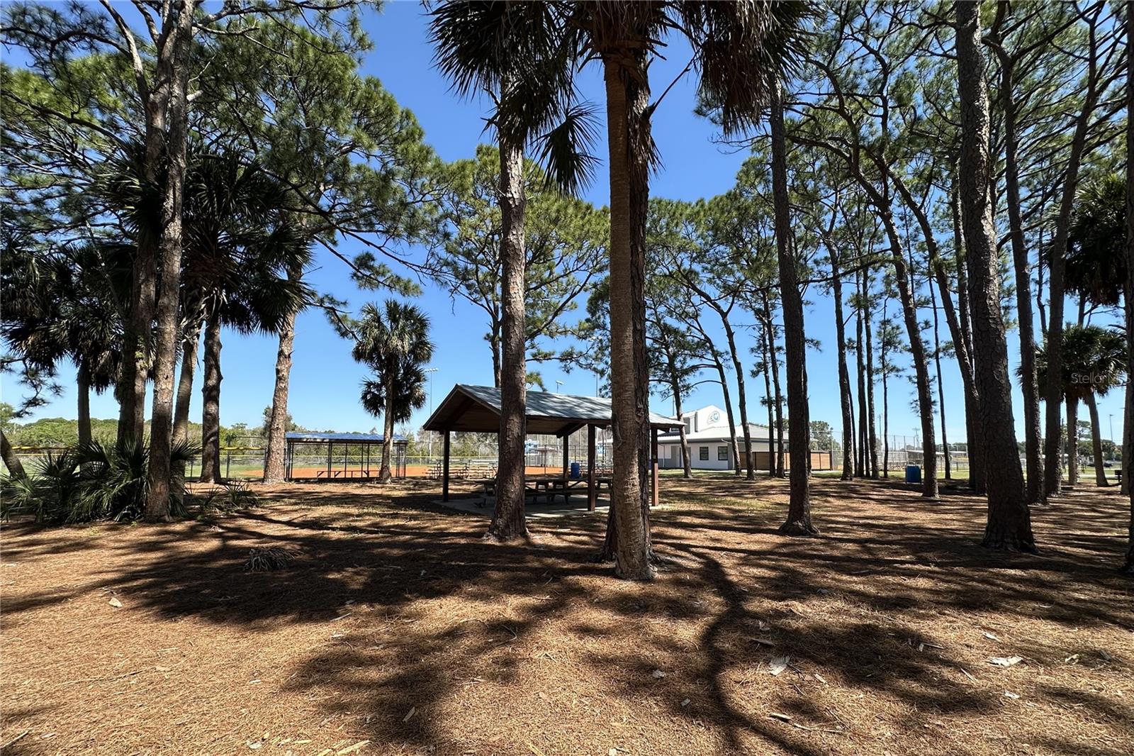 816 ANGELA AVE #B, ROCKLEDGE, FL, 32955