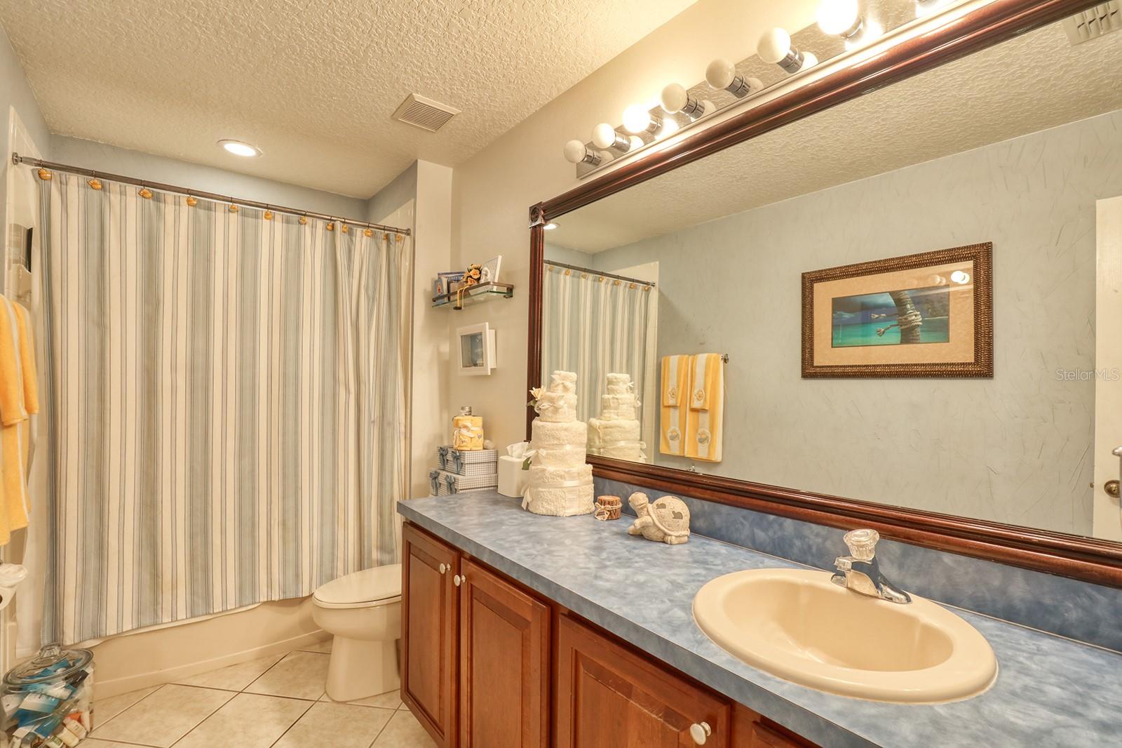 13412 FOX GLOVE ST, WINTER GARDEN, FL, 34787