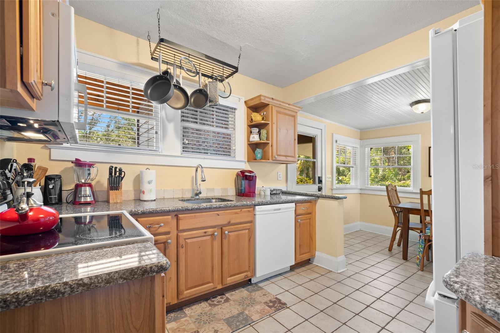 1035 E ROBSON ST, TAMPA, FL, 33604