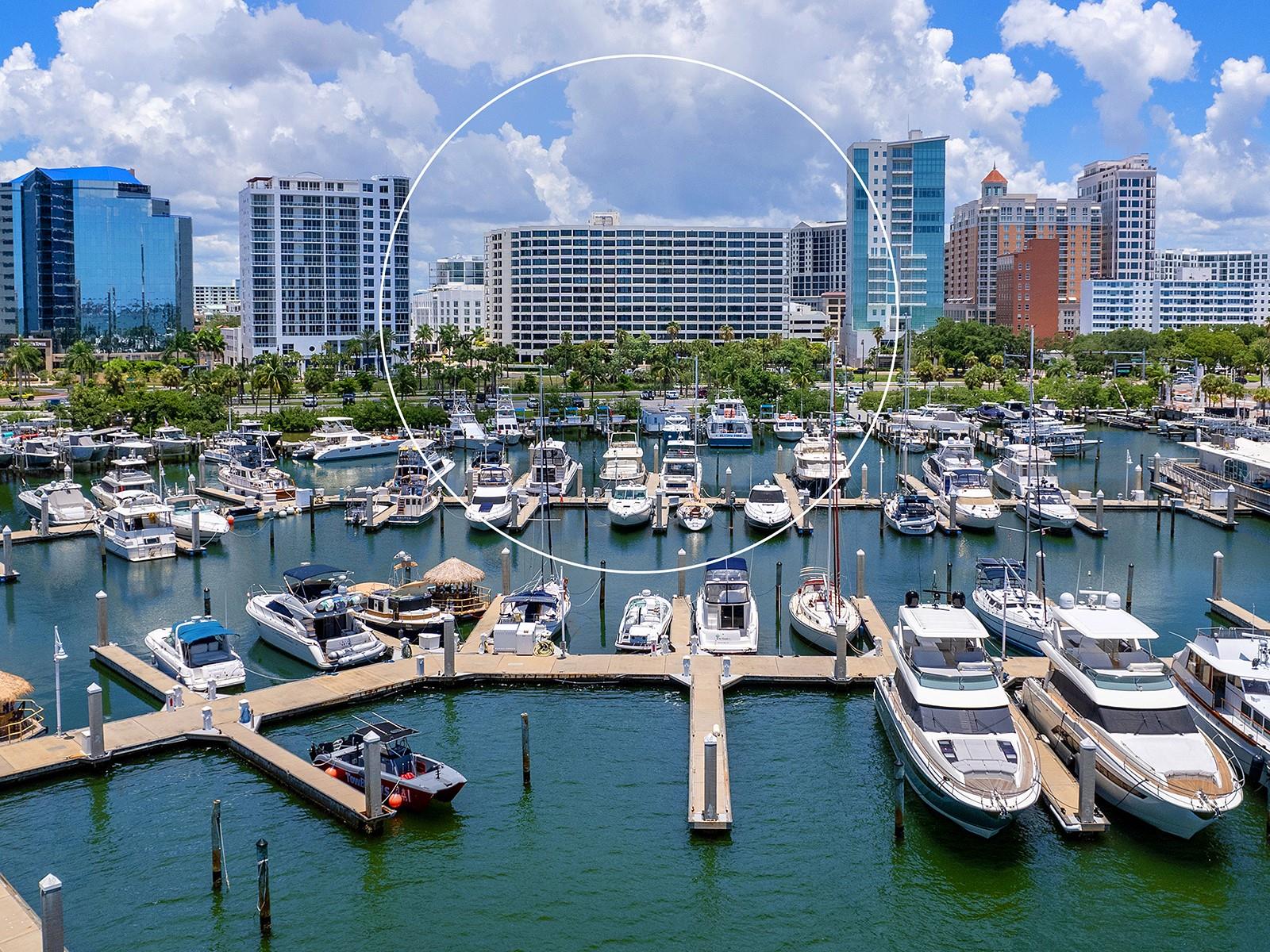 1255 N GULFSTREAM AVE #205, SARASOTA, FL, 34236