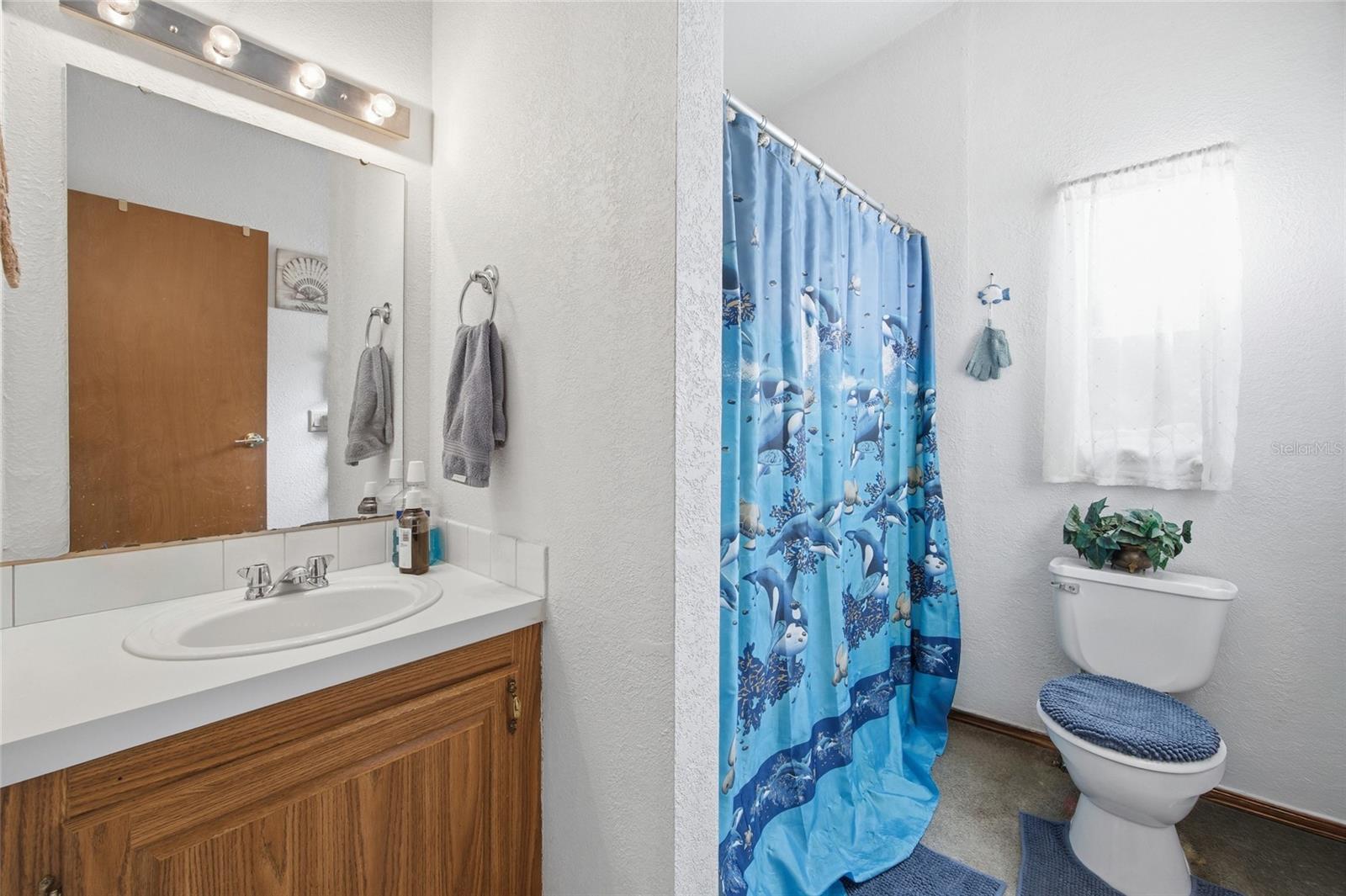 13841 NE JACKSONVILLE RD, CITRA, FL, 32113