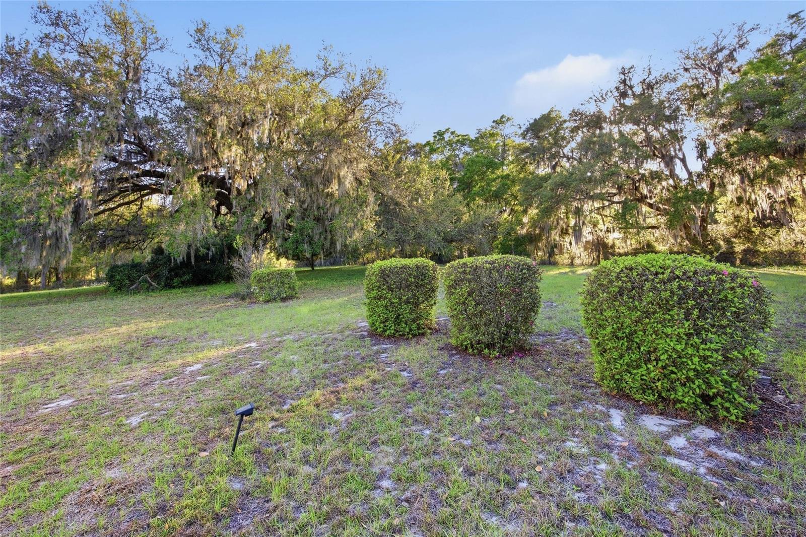 13841 NE JACKSONVILLE RD, CITRA, FL, 32113
