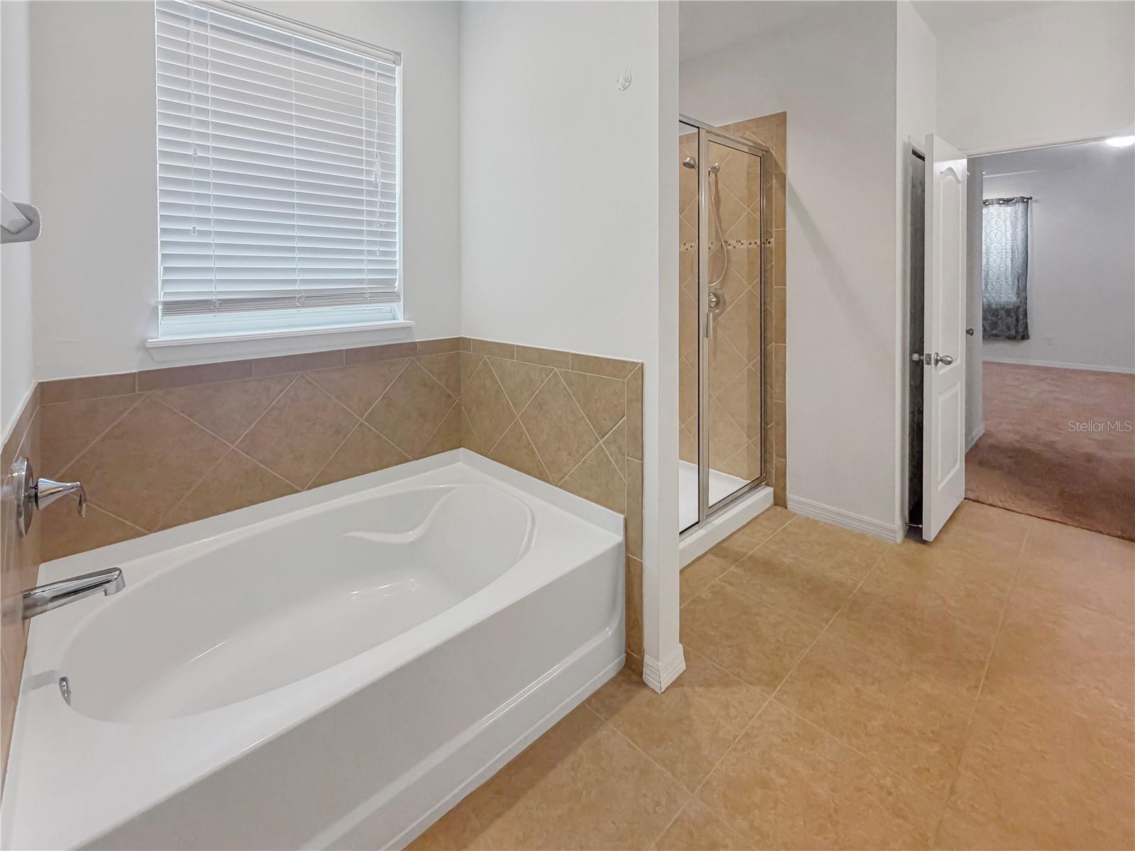 12425 FAIRLAWN DR, RIVERVIEW, FL, 33579