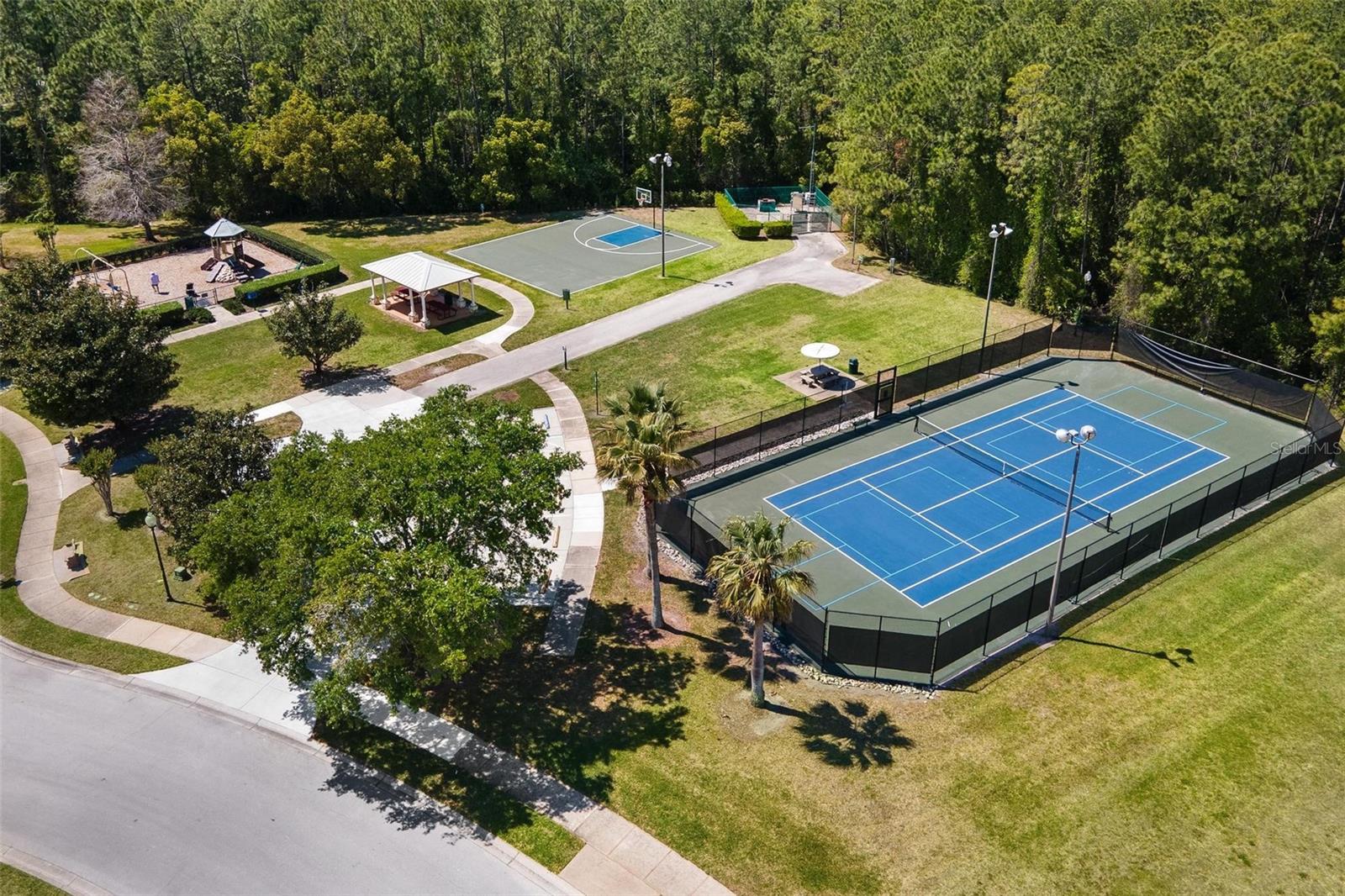 3001 ISOLA BELLA BLVD, MOUNT DORA, FL, 32757