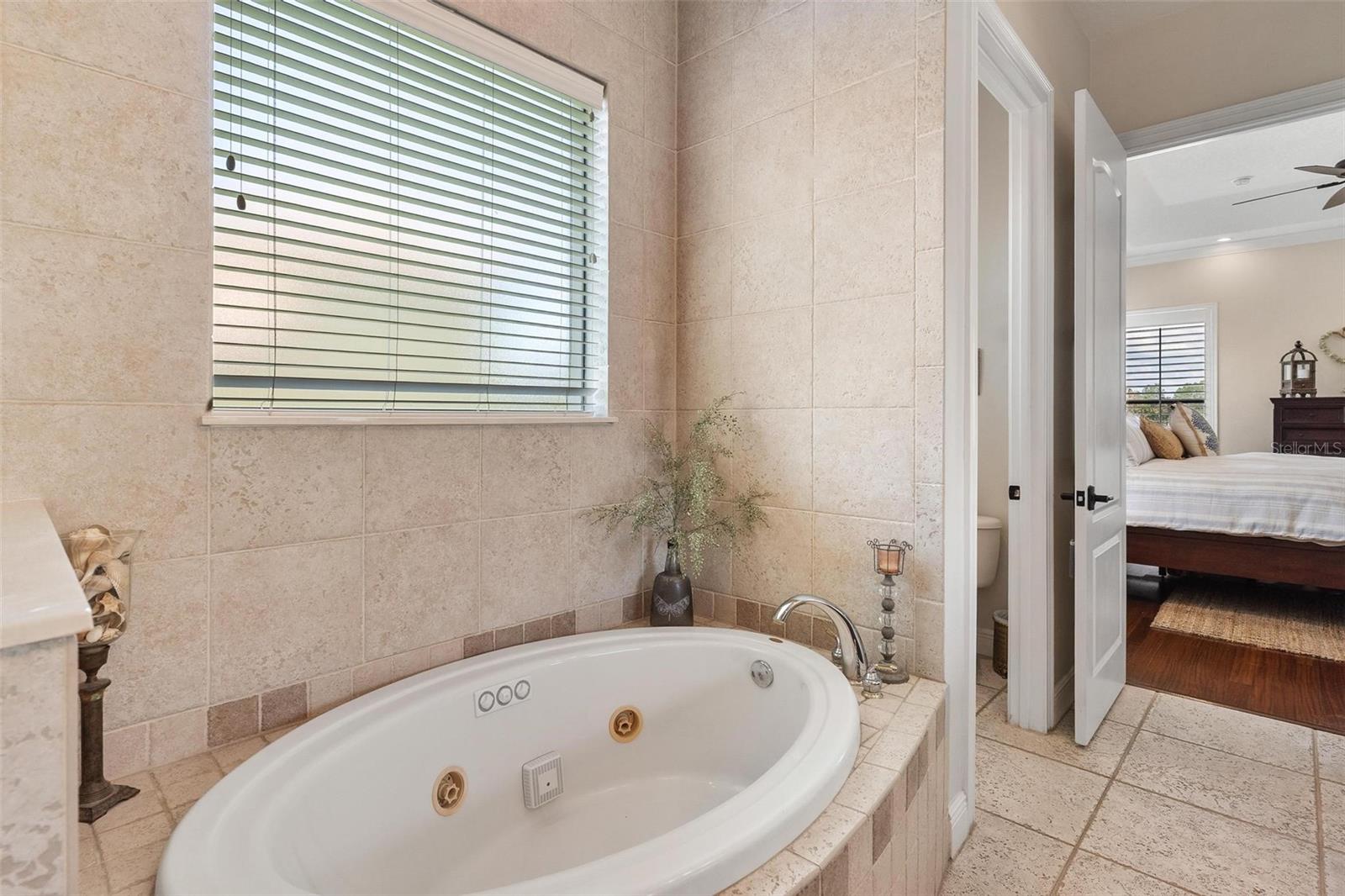 3001 ISOLA BELLA BLVD, MOUNT DORA, FL, 32757