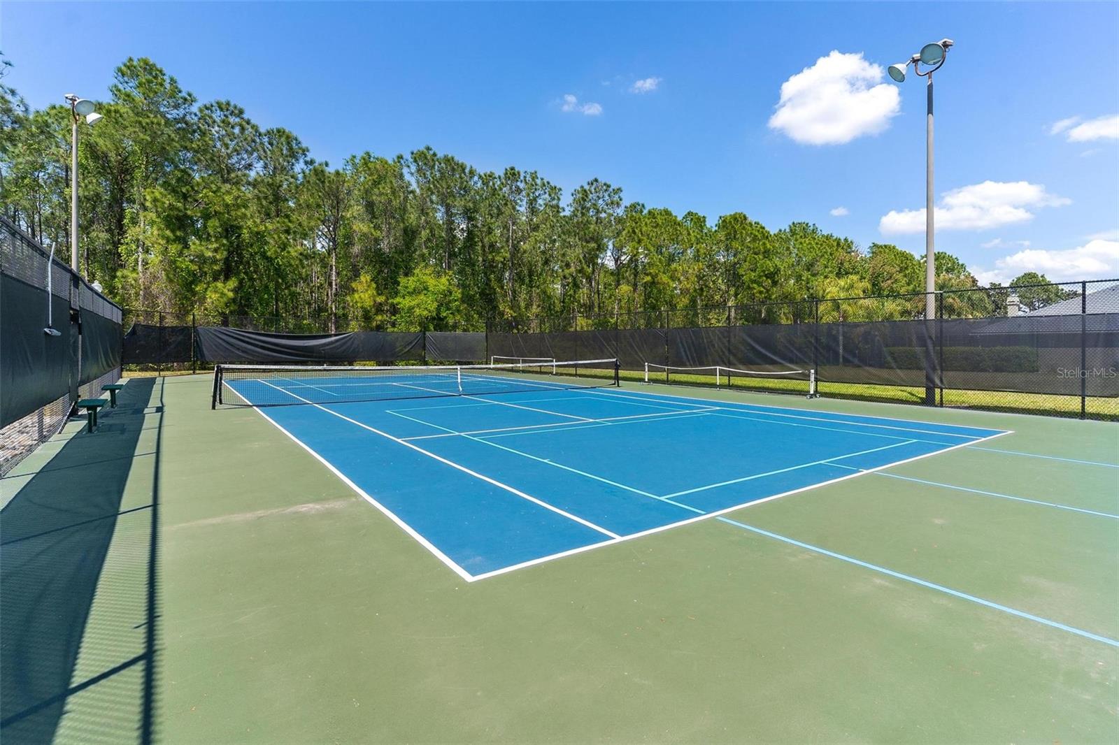 3001 ISOLA BELLA BLVD, MOUNT DORA, FL, 32757