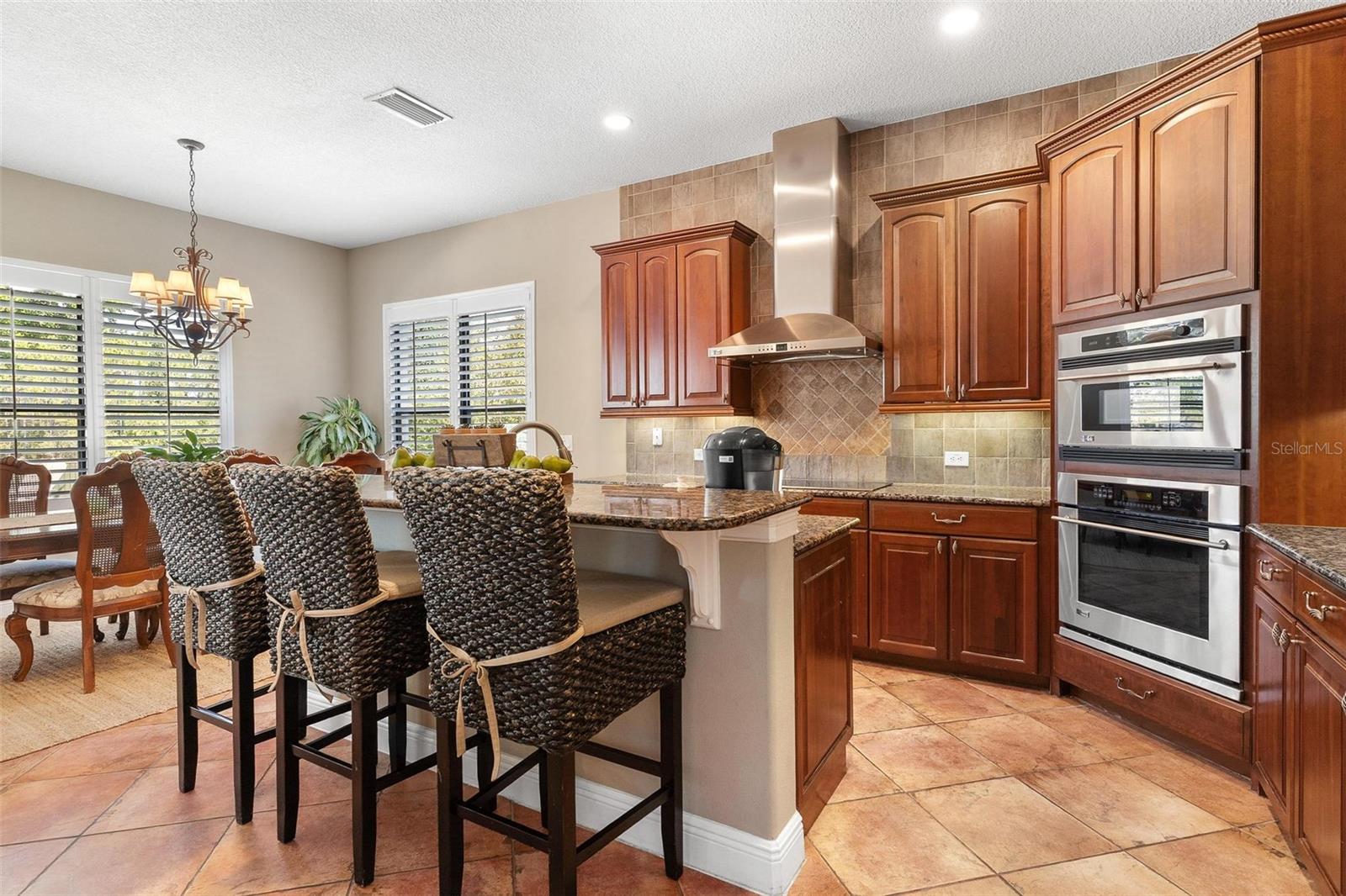 3001 ISOLA BELLA BLVD, MOUNT DORA, FL, 32757