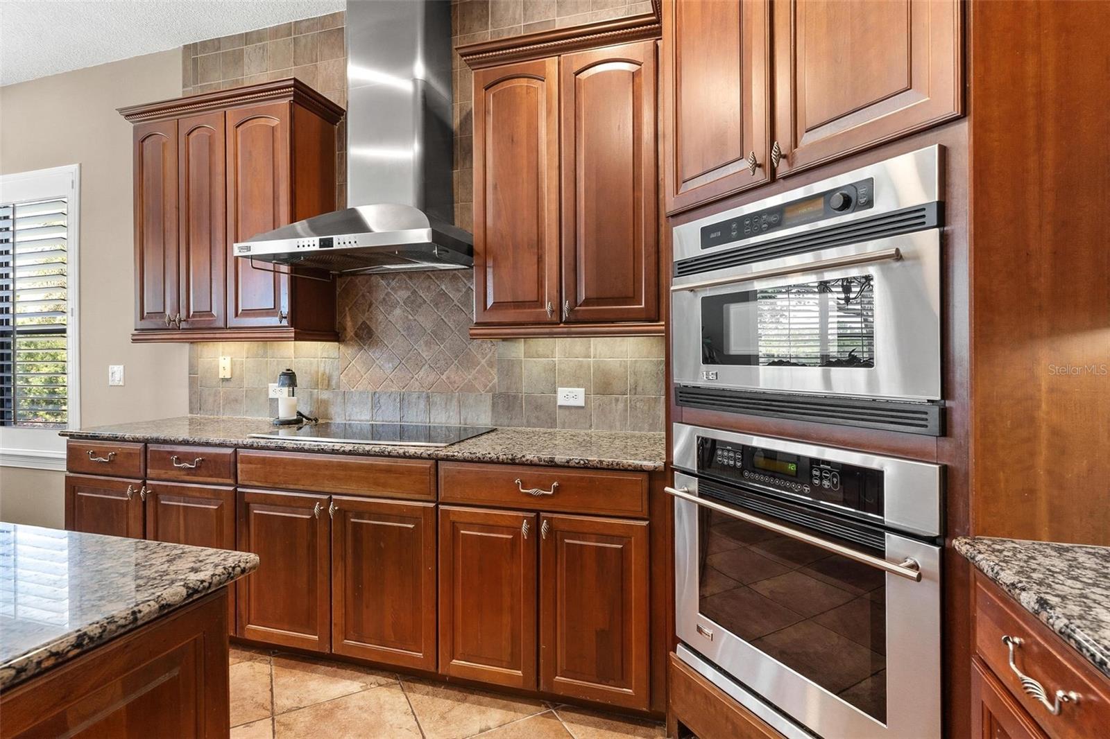 3001 ISOLA BELLA BLVD, MOUNT DORA, FL, 32757