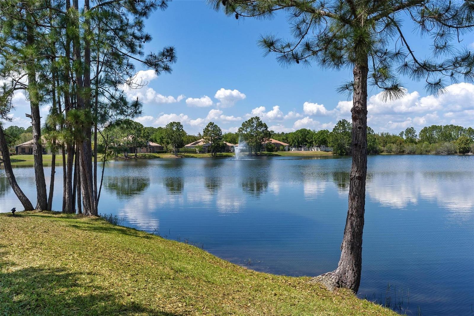3001 ISOLA BELLA BLVD, MOUNT DORA, FL, 32757