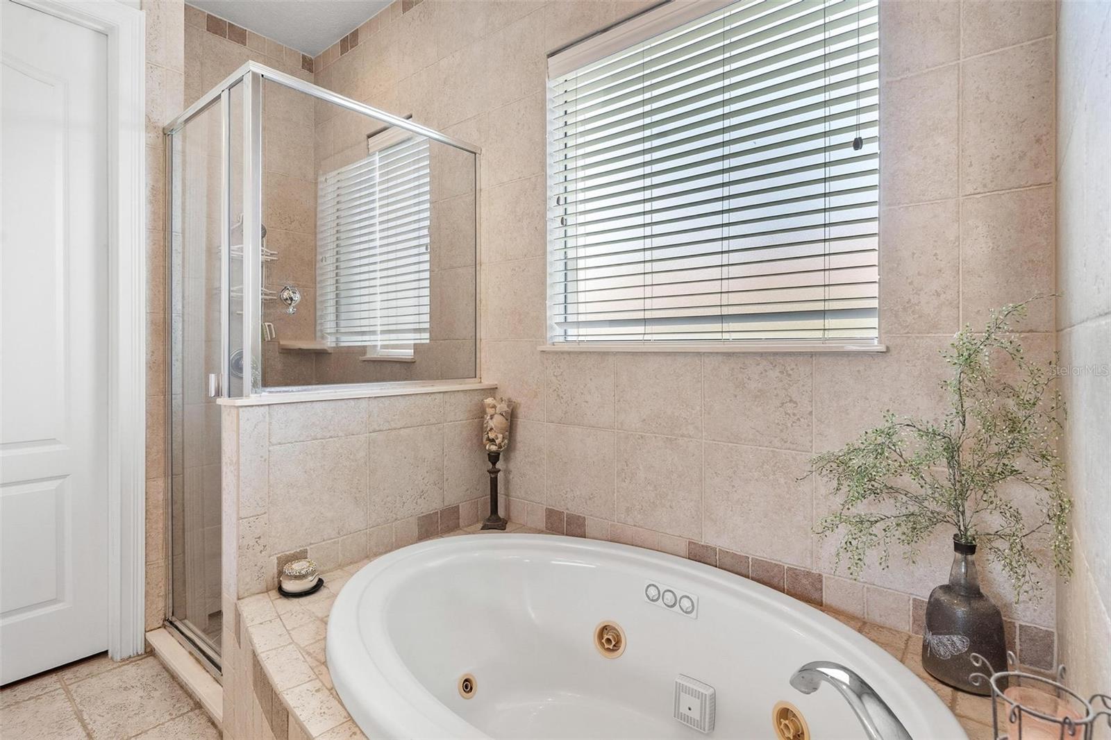 3001 ISOLA BELLA BLVD, MOUNT DORA, FL, 32757