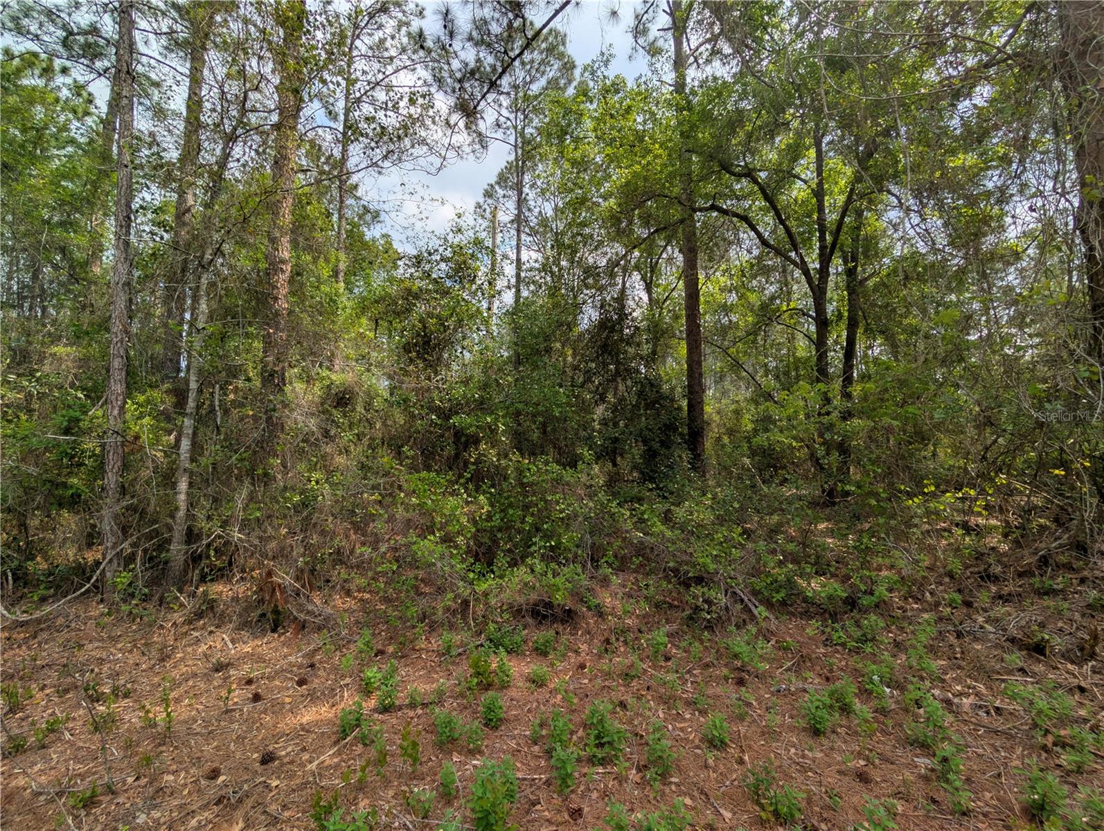 TBD NE 66TH COURT, CITRA, FL, 32113