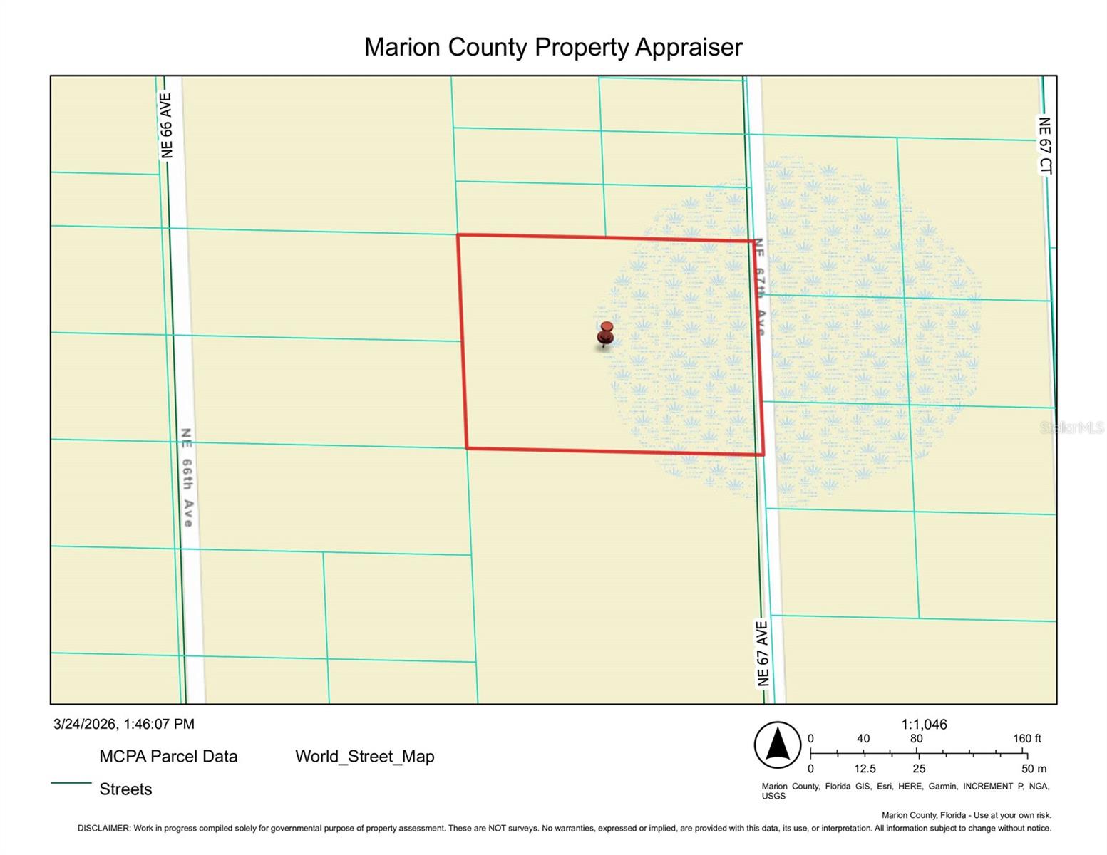 TBD NE 66TH COURT, CITRA, FL, 32113