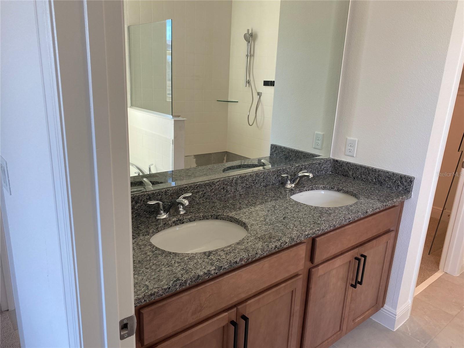 4842 GILDED JEWEL DR, MOUNT DORA, FL, 32757