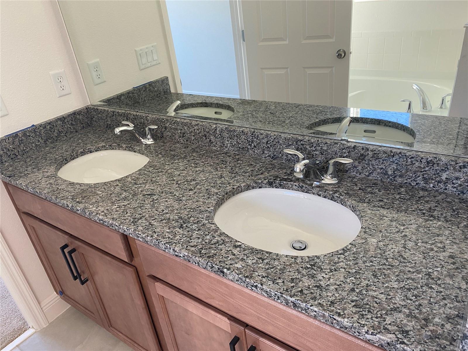 4842 GILDED JEWEL DR, MOUNT DORA, FL, 32757