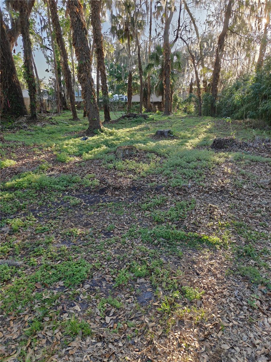 2214 NEEDLE PALM DR, EDGEWATER, FL, 32141