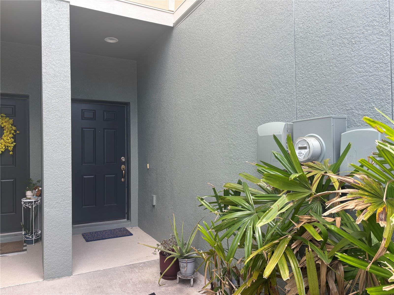 4912 WHITE SANDERLING CT, TAMPA, FL, 33619