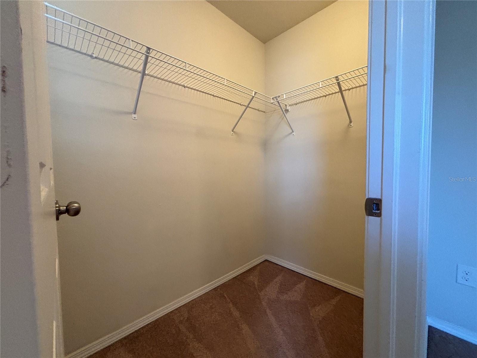 4912 WHITE SANDERLING CT, TAMPA, FL, 33619
