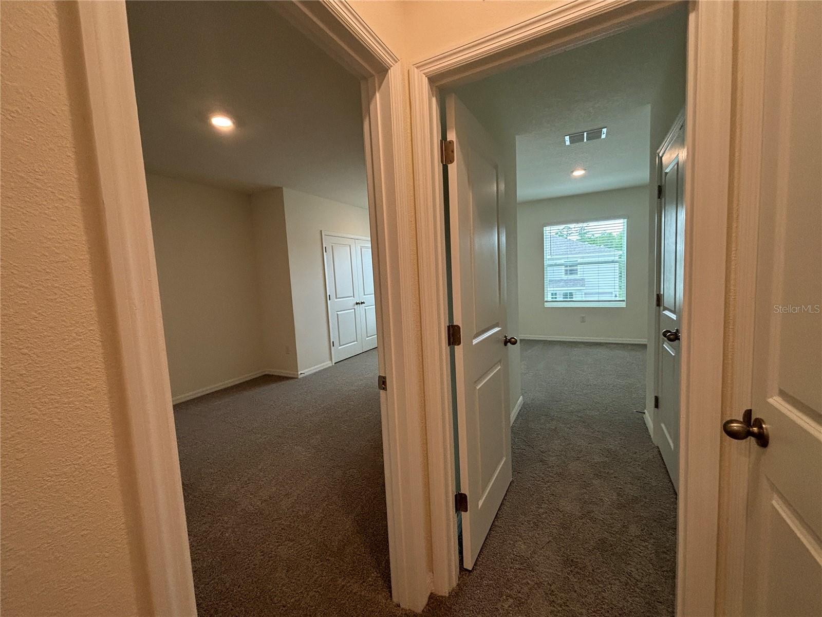 11147 CRESCENT DEER DR, LAND O LAKES, FL, 34638