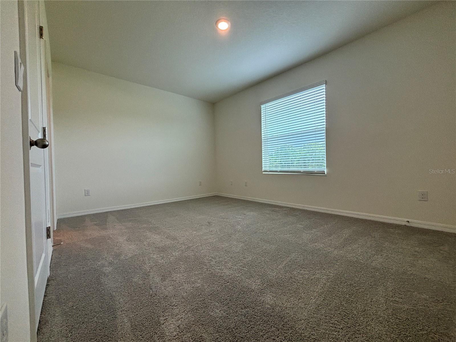 11147 CRESCENT DEER DR, LAND O LAKES, FL, 34638