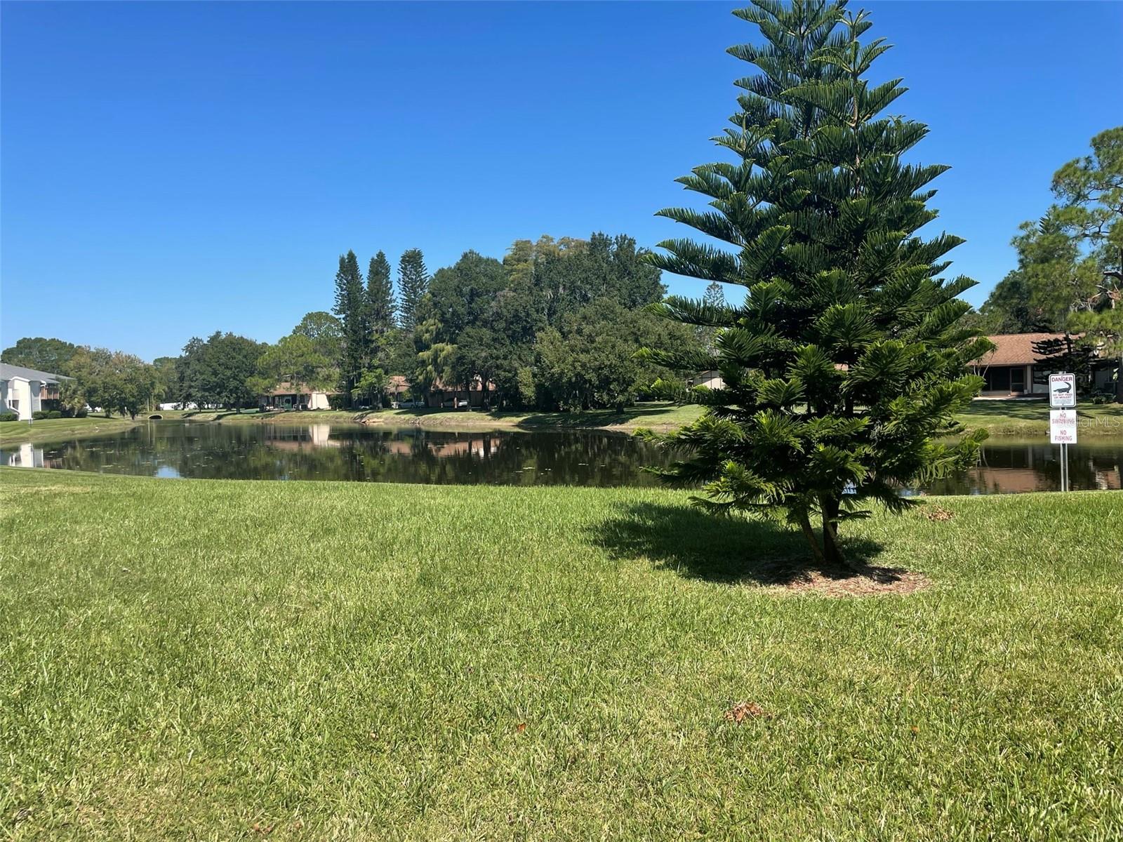 139 HUNTER LAKE DR #B, OLDSMAR, FL, 34677